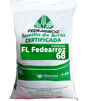 FL EDEARROZ 68 FL EDEARROZ 68