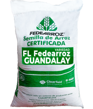 FL FEDEARROZ GUANDALAY FL FEDEARROZ GUANDALAY