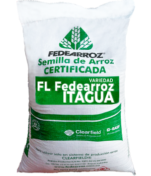 FL FEDEARROZ ITAGUA FL FEDEARROZ ITAGUA