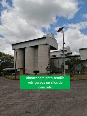almacenamiento semilla refrigerada en silos de concreto