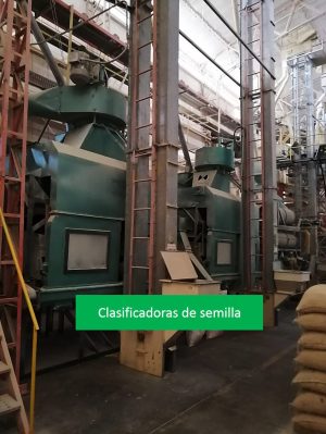 clasificadora de semillas