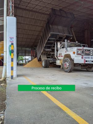 proceso de recibo - fedearroz