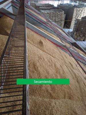 secamiento