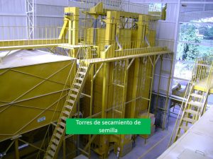torres de secamiento y semilla